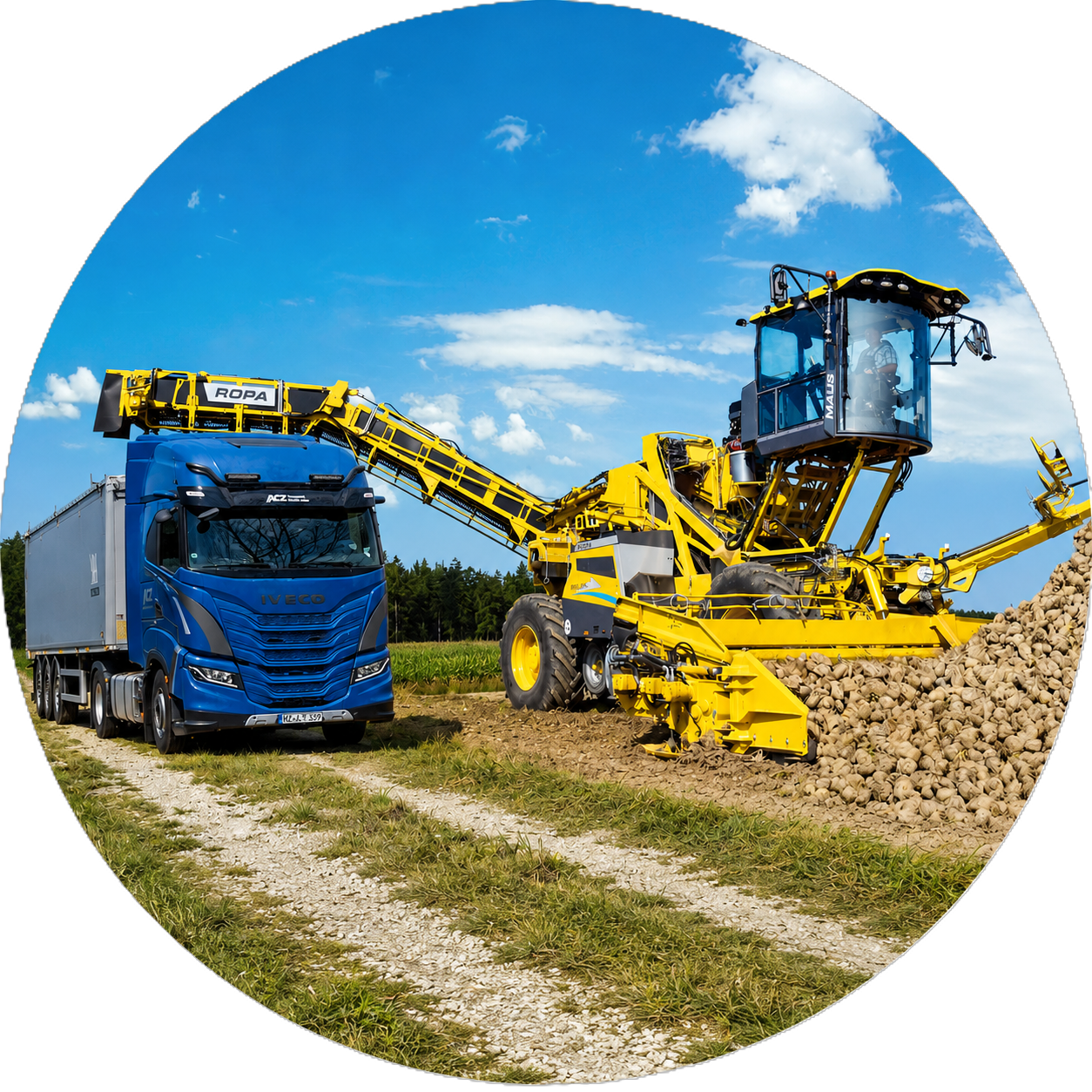 Landwirtschaft